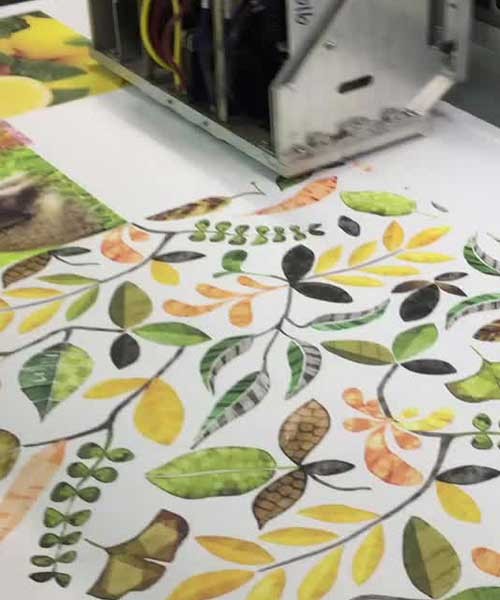 Garment Printing and Dyeing Technology - Full Time